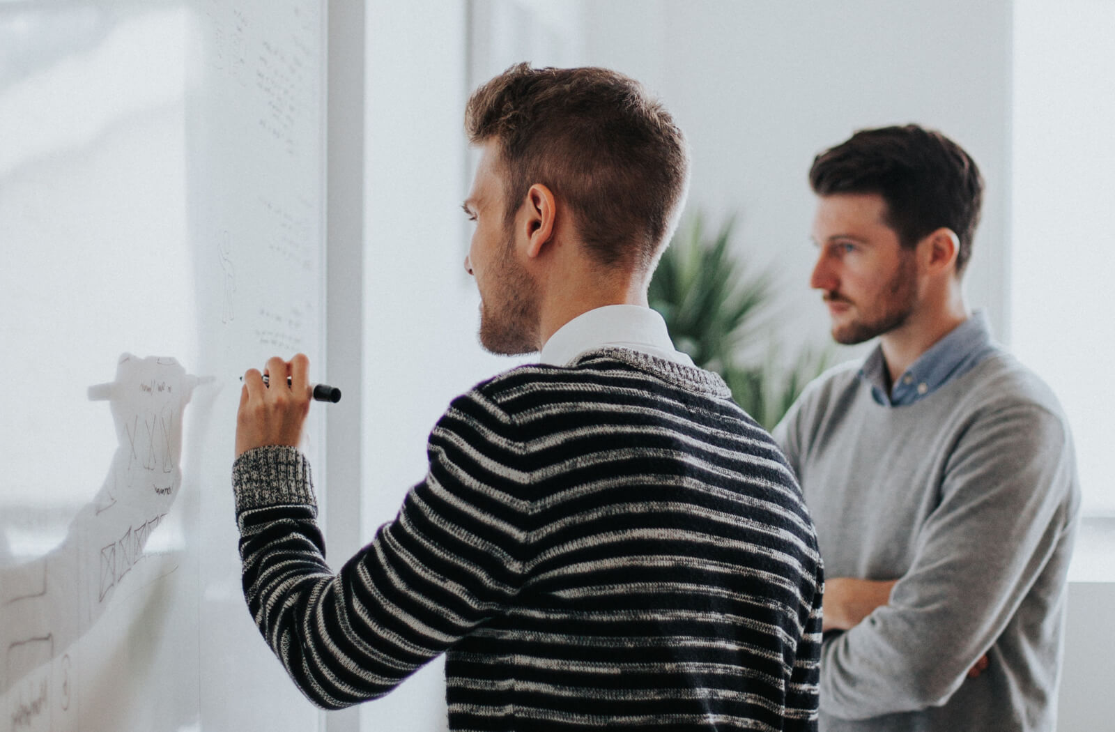 Free six months package